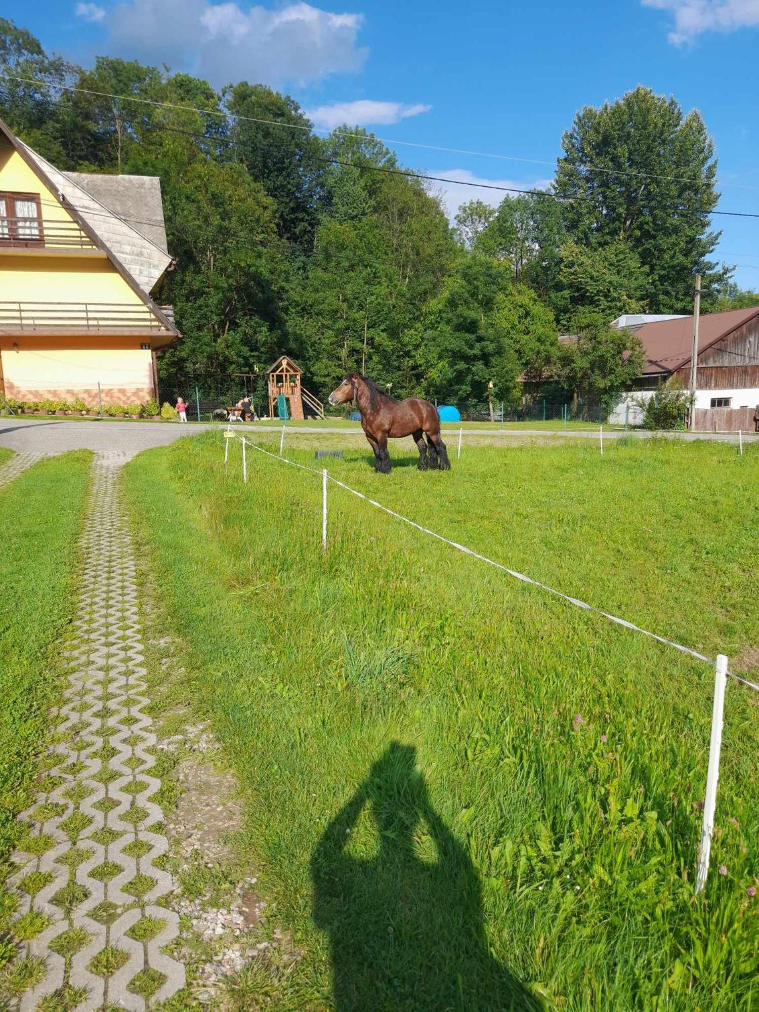 Apartment Zakatek Pienin Grywald